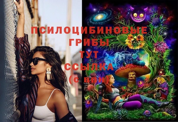 дживик Алзамай