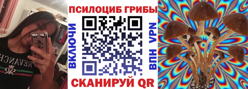 Псилоцибиновые грибы Psilocybe  хочу наркоту  Игарка 